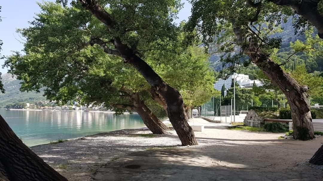 Apartmants Villa Lungo Mare Živogošće Εξωτερικό φωτογραφία