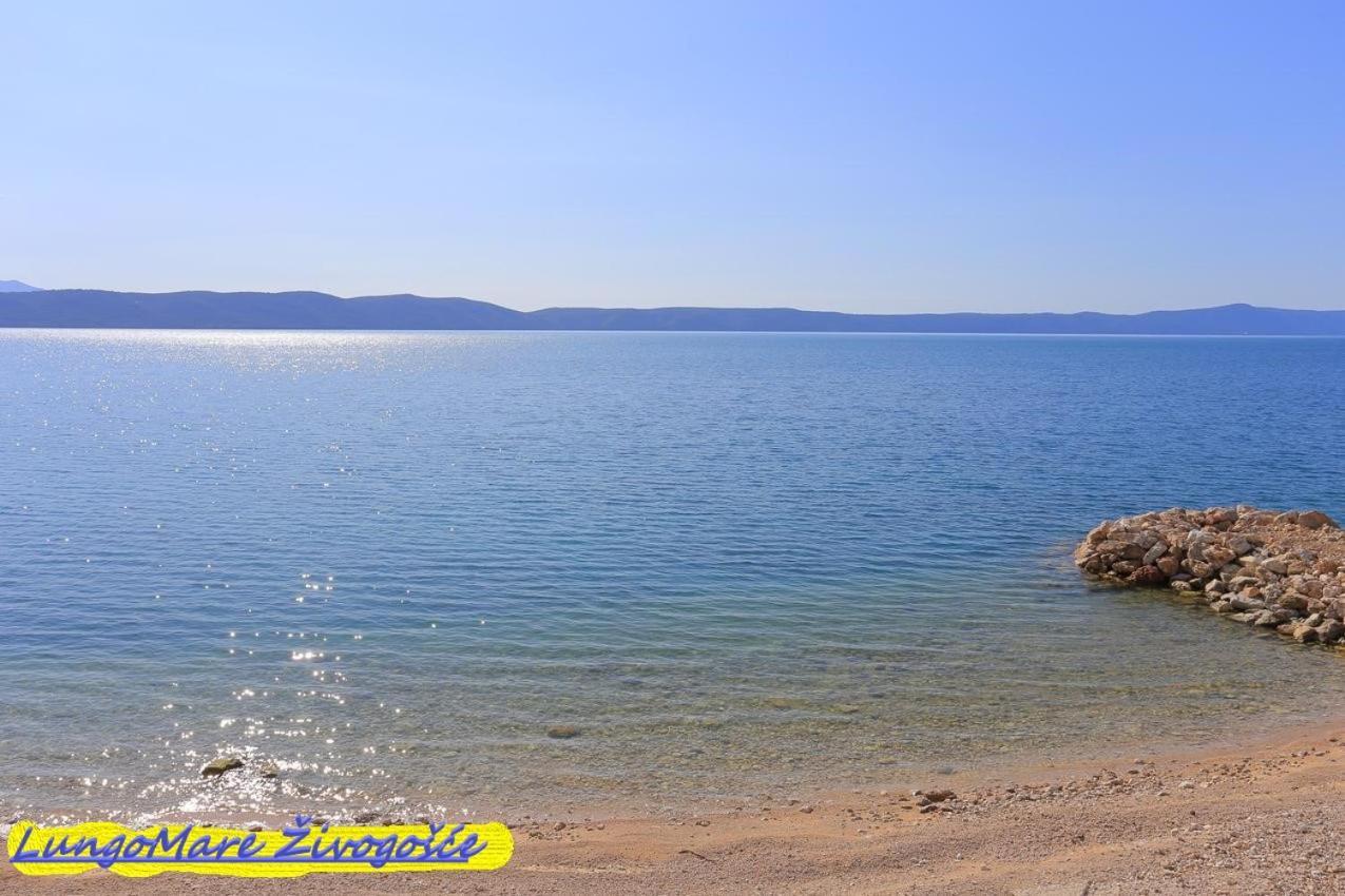 Apartmants Villa Lungo Mare Živogošće Εξωτερικό φωτογραφία